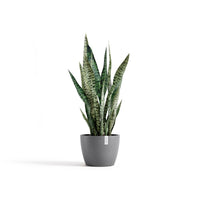Lillepott Tukholma 24cm hall
