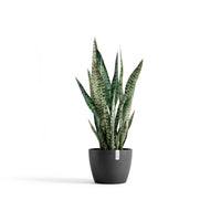 Lillepott Tukholma 24cm tumehall
