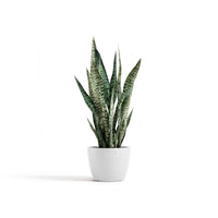 Lillepott Tukholma 24cm valge