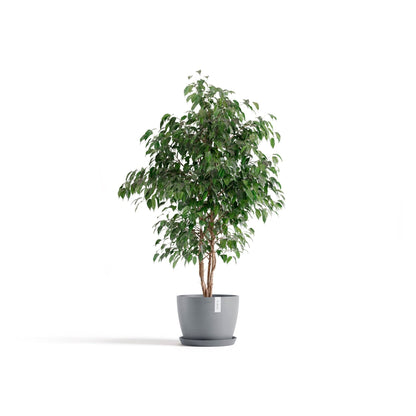 Kukkaruukku - Ecopots - Kukkaruukku Tukholma 31cm siniharmaa - Ecopots - Uuden aikakauden kukkaruukku kierrätysmateriaalista
