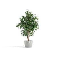Lillepott Tukholma 31cm valgehall