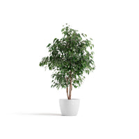 Lillepott Tukholma 31cm valge
