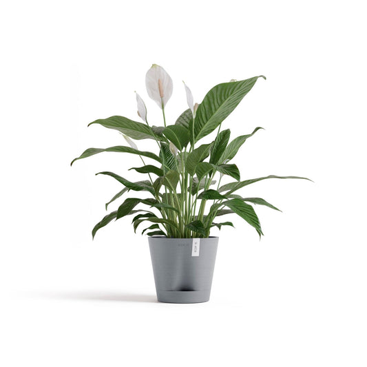 Kukkaruukku - Ecopots - Kukkaruukku Venetsia 2.0 20cm siniharmaa - Ecopots - Uuden aikakauden kukkaruukku kierrätysmateriaalista