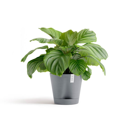 Kukkaruukku - Ecopots - Kukkaruukku Venetsia 2.0 30cm siniharmaa - Ecopots - Uuden aikakauden kukkaruukku kierrätysmateriaalista