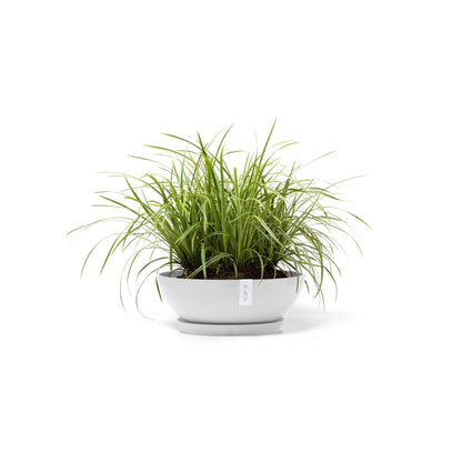 Kukkaruukku - Ecopots - Kukkaruukku Vienna 50cm valkoinen - Ecopots - Uuden aikakauden kukkaruukku kierrätysmateriaalista