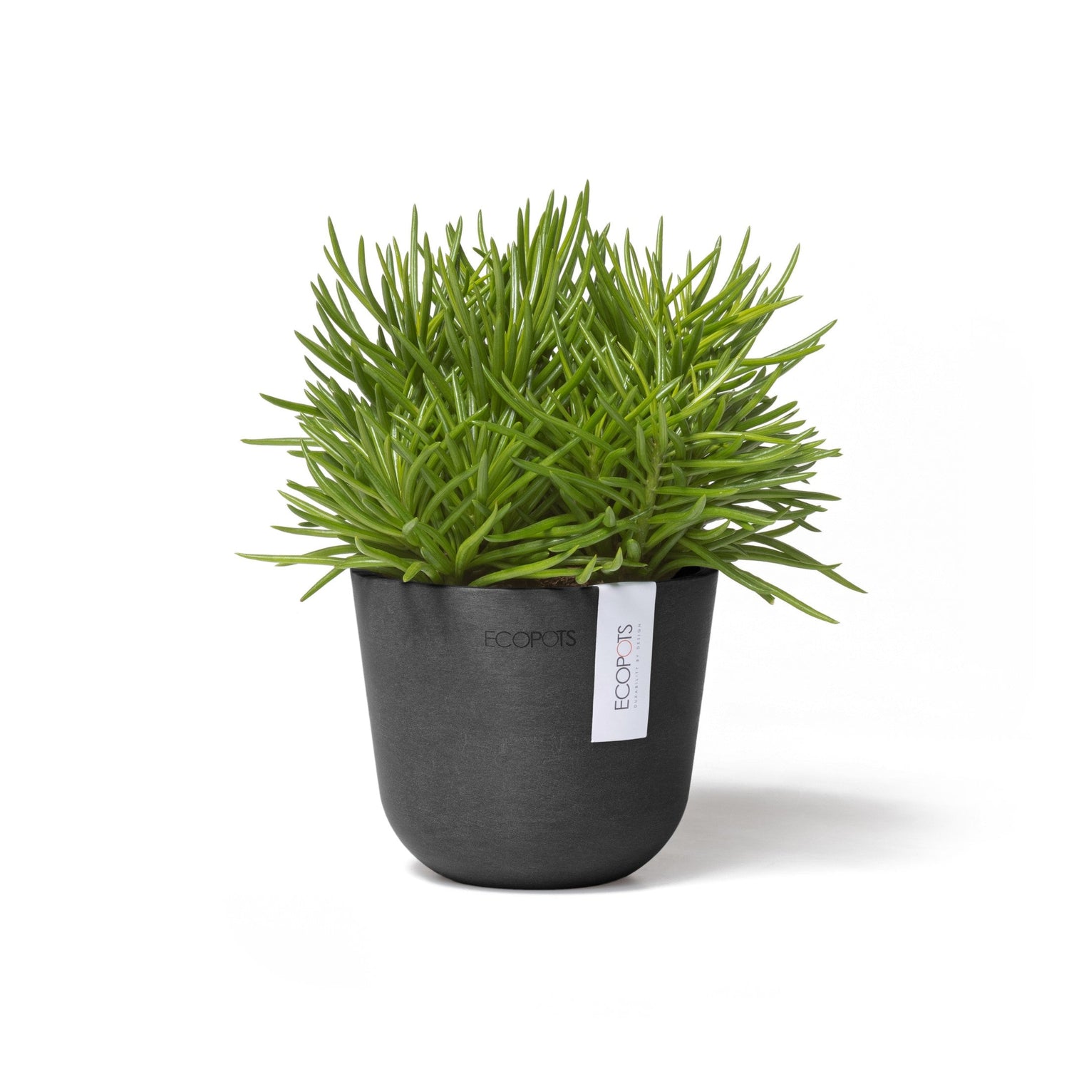 Kukkaruukku - Ecopots - Oslo 11,5cm tummanharmaa - Ecopotskauppa - Uuden aikakauden kukkaruukku