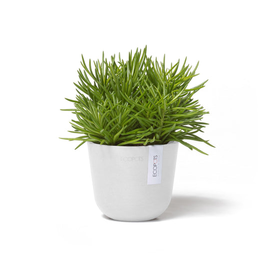 Kukkaruukku - Ecopots - Oslo 11,5cm valkoinen - Ecopotskauppa - Uuden aikakauden kukkaruukku