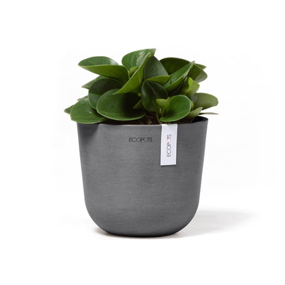 Kukkaruukku - Ecopots - Oslo 16cm harmaa - Ecopotskauppa - Uuden aikakauden kukkaruukku