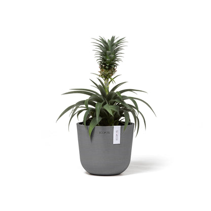 Kukkaruukku - Ecopots - Oslo 16cm harmaa - Ecopotskauppa - Uuden aikakauden kukkaruukku