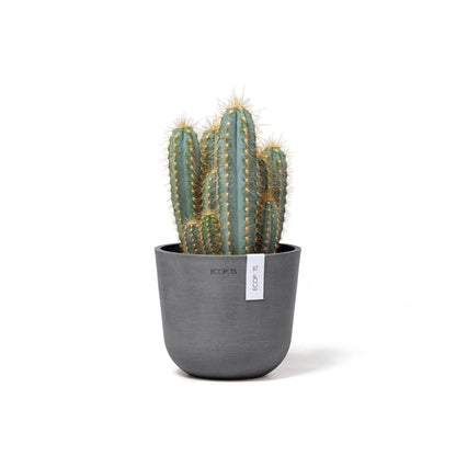 Kukkaruukku - Ecopots - Oslo 16cm harmaa - Ecopotskauppa - Uuden aikakauden kukkaruukku