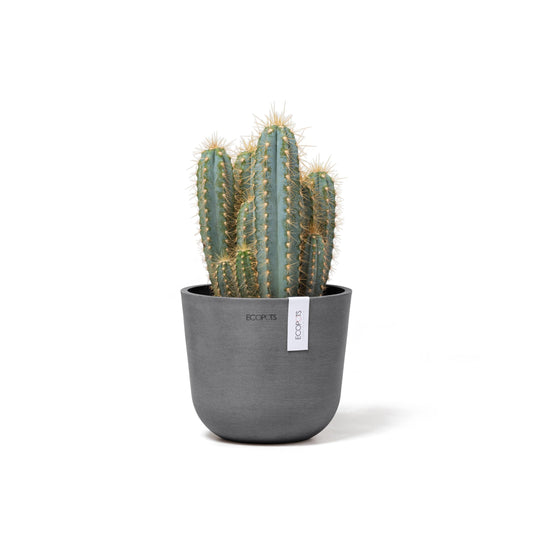 Kukkaruukku - Ecopots - Oslo 16cm harmaa - Ecopotskauppa - Uuden aikakauden kukkaruukku
