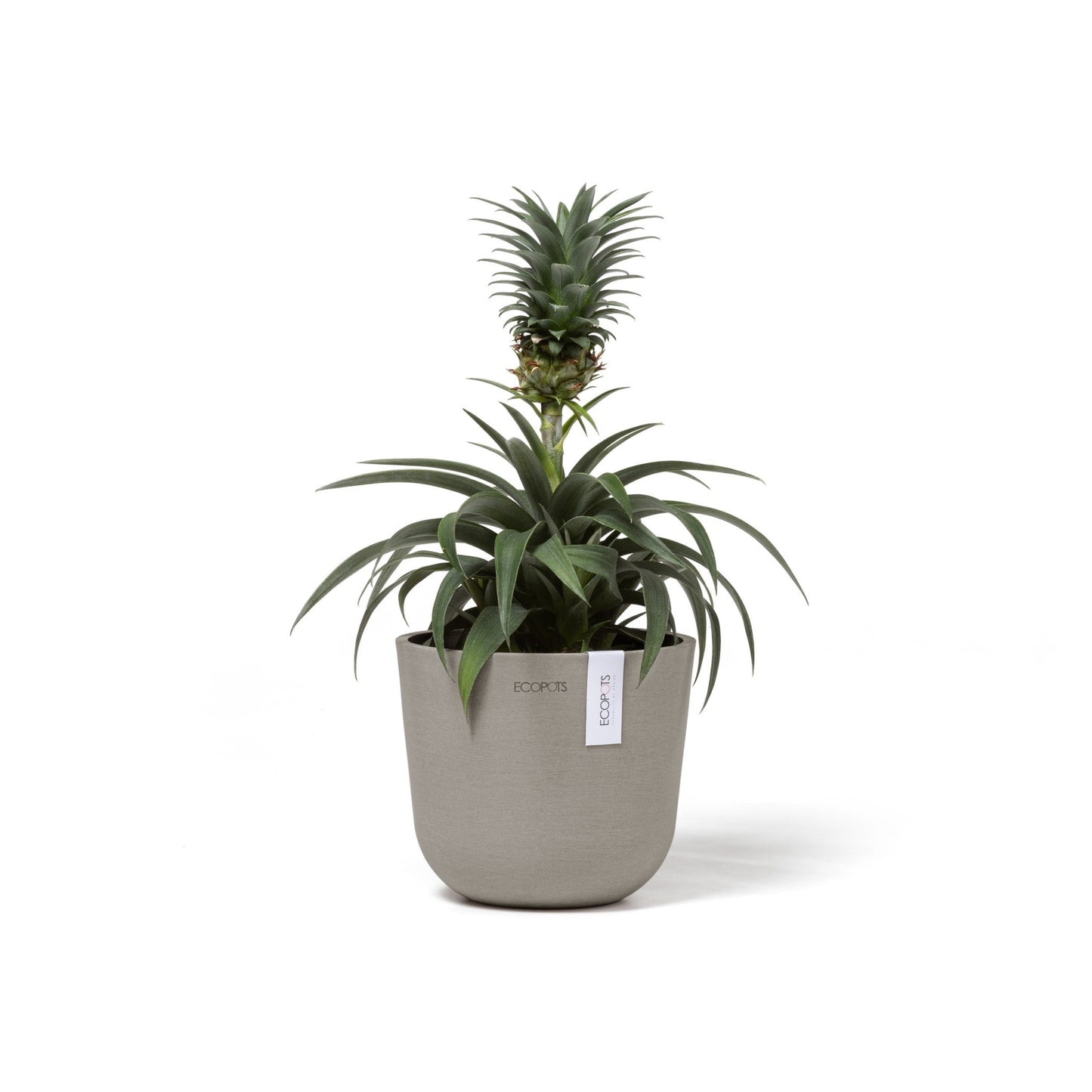 Kukkaruukku - Ecopots - Oslo 16cm taupe - Ecopotskauppa - Uuden aikakauden kukkaruukku