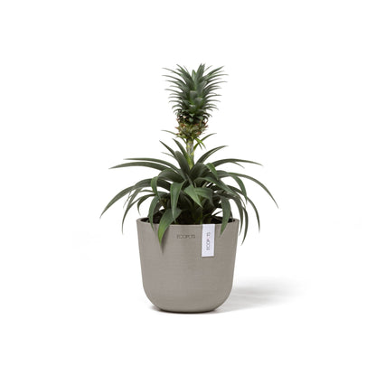 Kukkaruukku - Ecopots - Oslo 16cm taupe - Ecopotskauppa - Uuden aikakauden kukkaruukku