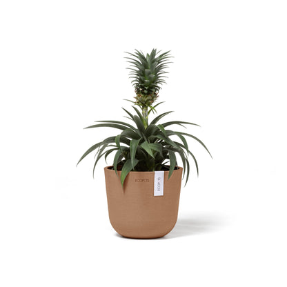 Kukkaruukku - Ecopots - Oslo 16cm terracotta - Ecopotskauppa - Uuden aikakauden kukkaruukku