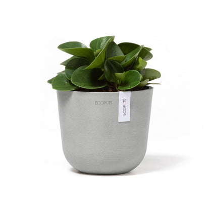 Kukkaruukku - Ecopots - Oslo 16cm valkoharmaa - Ecopotskauppa - Uuden aikakauden kukkaruukku