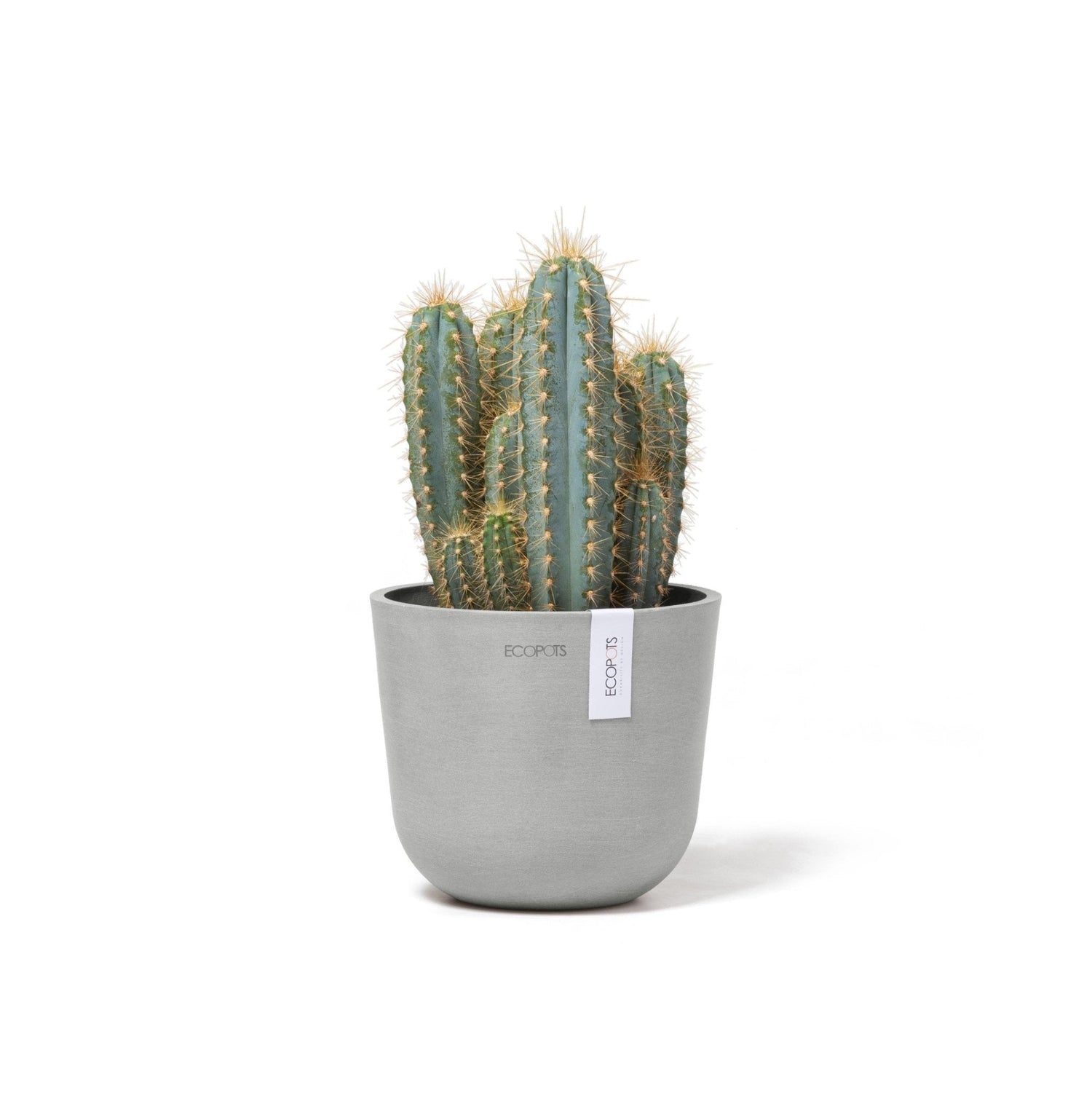Kukkaruukku - Ecopots - Oslo 16cm valkoharmaa - Ecopotskauppa - Uuden aikakauden kukkaruukku