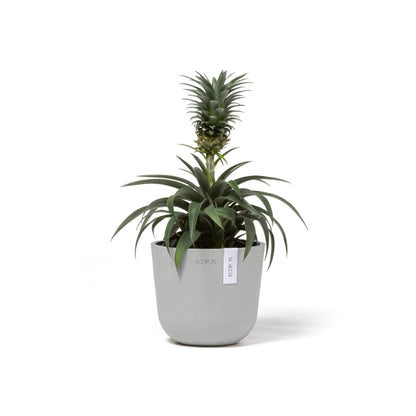 Kukkaruukku - Ecopots - Oslo 16cm valkoharmaa - Ecopotskauppa - Uuden aikakauden kukkaruukku