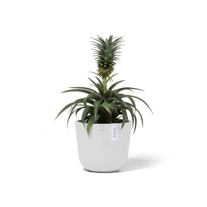 Kukkaruukku - Ecopots - Oslo 16cm valkoinen - Ecopotskauppa - Uuden aikakauden kukkaruukku