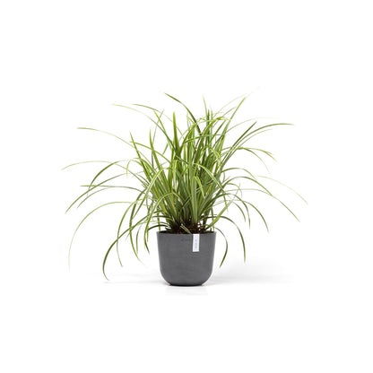 Kukkaruukku - Ecopots - Oslo 19cm harmaa - Ecopotskauppa - Uuden aikakauden kukkaruukku
