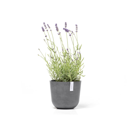 Kukkaruukku - Ecopots - Oslo 19cm harmaa - Ecopotskauppa - Uuden aikakauden kukkaruukku
