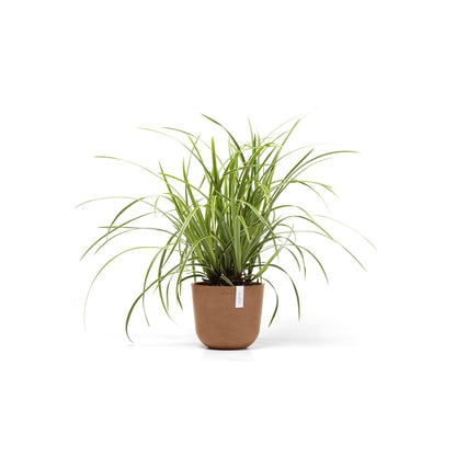 Kukkaruukku - Ecopots - Oslo 19cm terracotta - Ecopotskauppa - Uuden aikakauden kukkaruukku