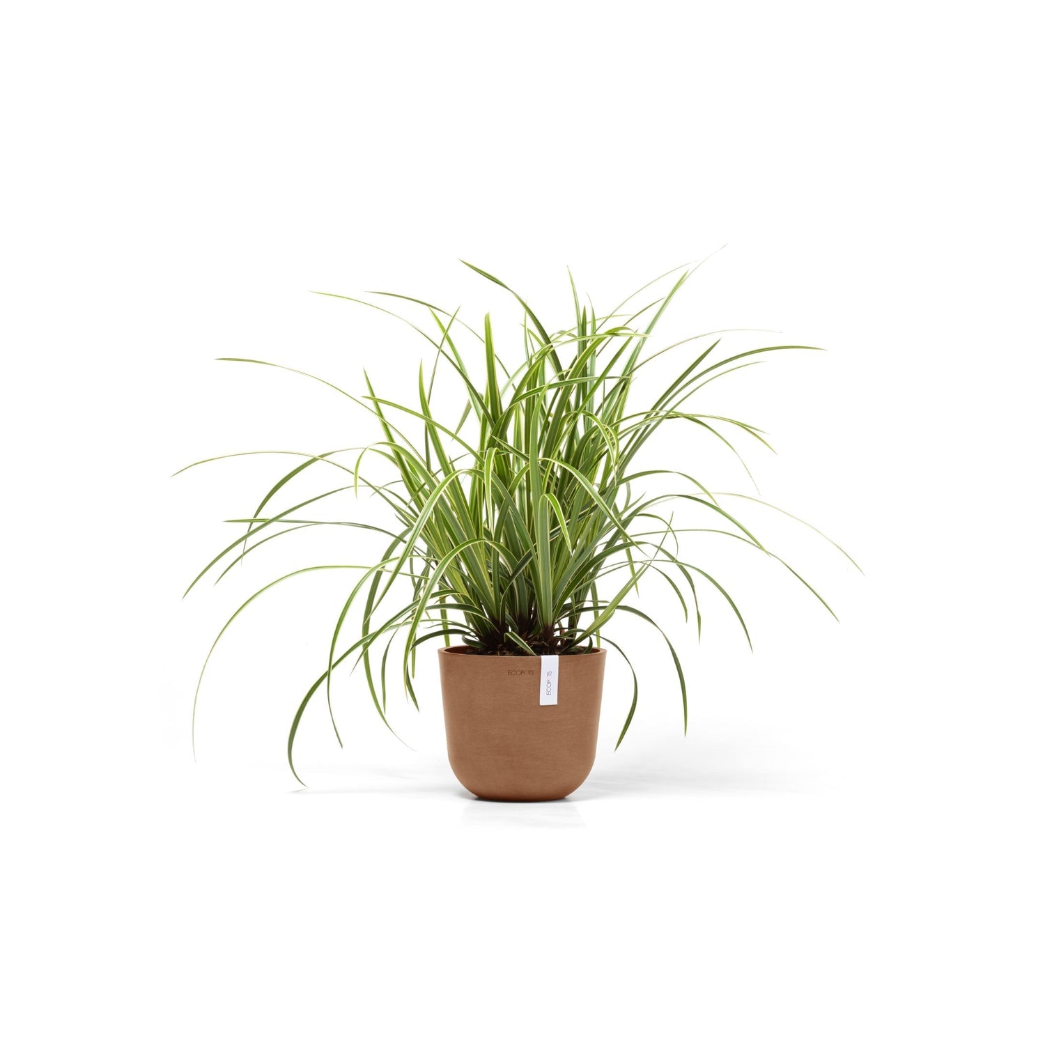 Kukkaruukku - Ecopots - Oslo 19cm terracotta - Ecopotskauppa - Uuden aikakauden kukkaruukku
