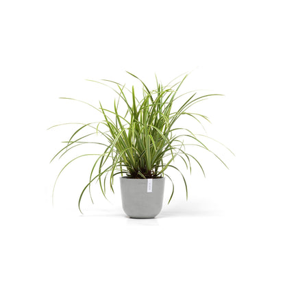 Kukkaruukku - Ecopots - Oslo 19cm valkoharmaa - Ecopotskauppa - Uuden aikakauden kukkaruukku