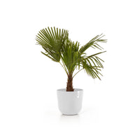 Lillepott Oslo 25cm valge