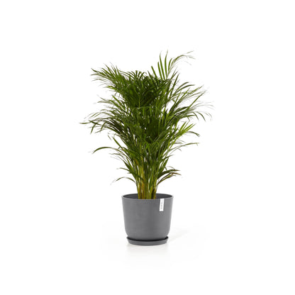 Kukkaruukku - Ecopots - Oslo 35cm harmaa - Ecopotskauppa - Uuden aikakauden kukkaruukku