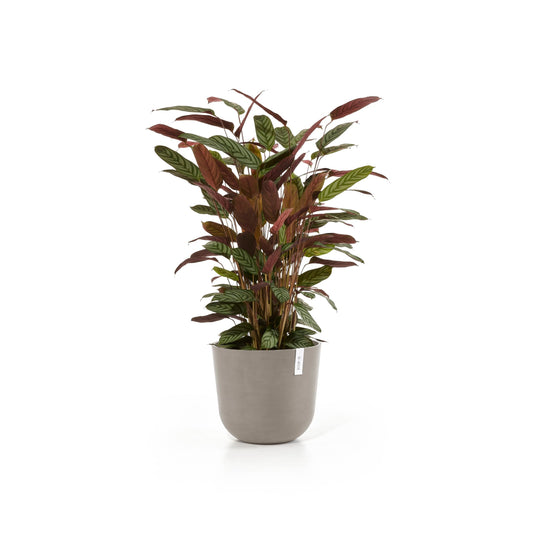 Kukkaruukku - Ecopots - Oslo 35cm taupe - Ecopotskauppa - Uuden aikakauden kukkaruukku