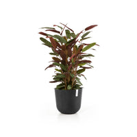 Lillepott Oslo 35cm tumehall