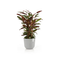 Lillepott Oslo 35cm valgehall