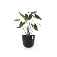 Lillepott Oslo 45cm tumehall