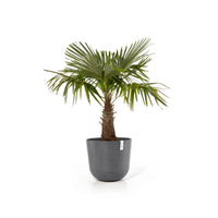 Kukkaruukku Oslo 55cm harmaa
