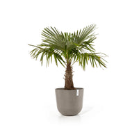 Lillepott Oslo 55cm taupe
