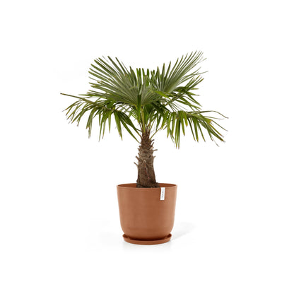 Kukkaruukku - Ecopots - Oslo 55cm terracotta - Ecopotskauppa - Uuden aikakauden kukkaruukku