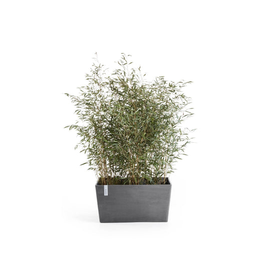 Kukkaruukku - Ecopots - Pariisi 60cm harmaa - Ecopots - Uuden aikakauden kukkaruukku kierrätysmateriaalista