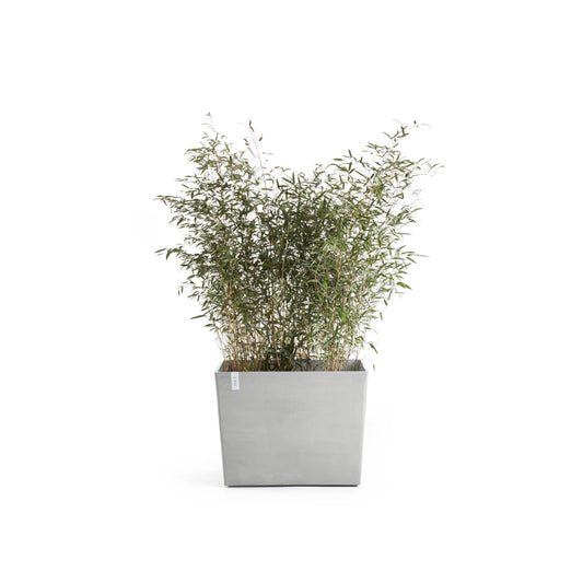 Kukkaruukku - Ecopots - Pariisi pyörillä 85cm valkoharmaa - Ecopotskauppa - Uuden aikakauden kukkaruukku