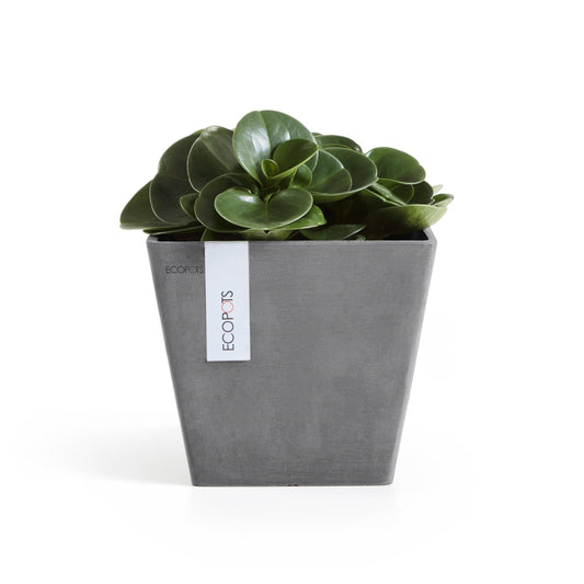 Kukkaruukku - Ecopots - Rotterdam 20cm harmaa - Ecopotskauppa - Uuden aikakauden kukkaruukku