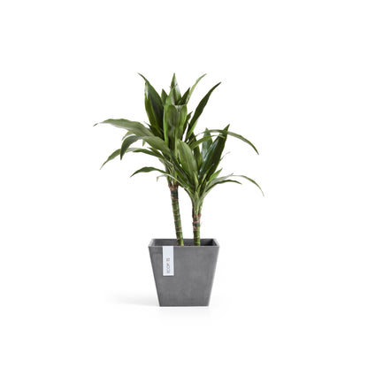 Kukkaruukku - Ecopots - Rotterdam 20cm harmaa - Ecopotskauppa - Uuden aikakauden kukkaruukku