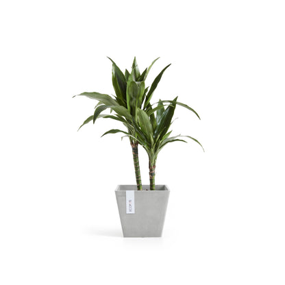 Kukkaruukku - Ecopots - Rotterdam 20cm valkoharmaa - Ecopotskauppa - Uuden aikakauden kukkaruukku