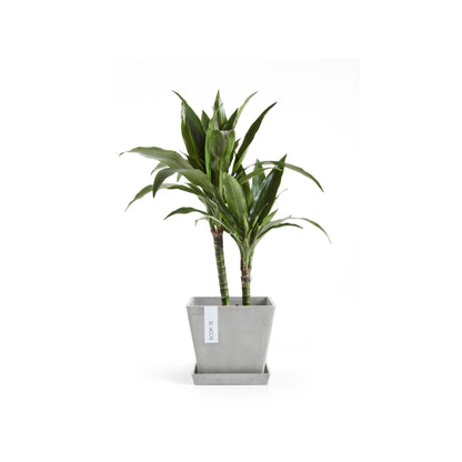 Kukkaruukku - Ecopots - Rotterdam 20cm valkoharmaa - Ecopotskauppa - Uuden aikakauden kukkaruukku