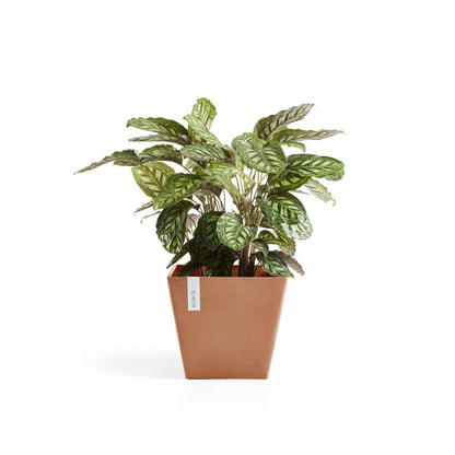Kukkaruukku - Ecopots - Rotterdam 30cm terracotta - Ecopotskauppa - Uuden aikakauden kukkaruukku