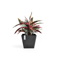 Lillepott Rotterdam 30cm tumehall