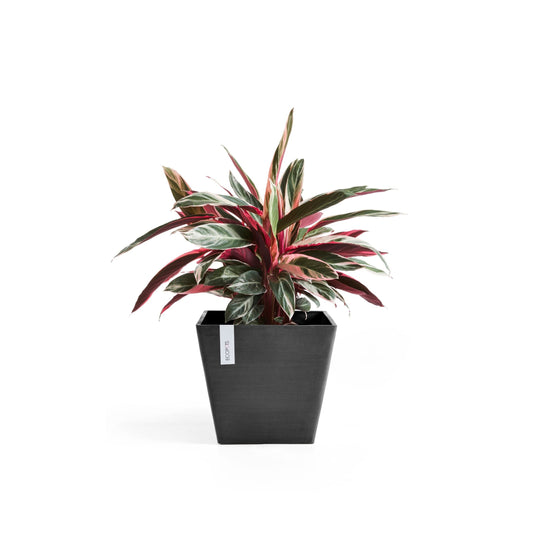 Kukkaruukku - Ecopots - Rotterdam 30cm tummanharmaa - Ecopotskauppa - Uuden aikakauden kukkaruukku