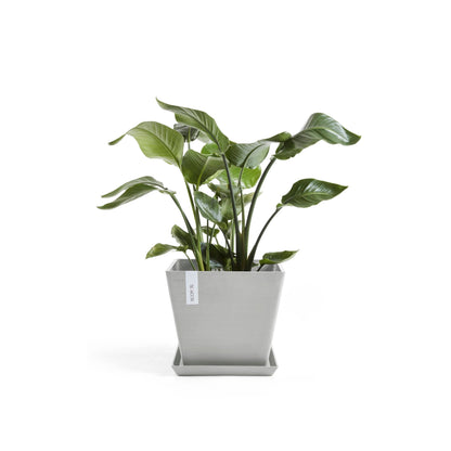 Kukkaruukku - Ecopots - Rotterdam 30cm valkoharmaa - Ecopotskauppa - Uuden aikakauden kukkaruukku