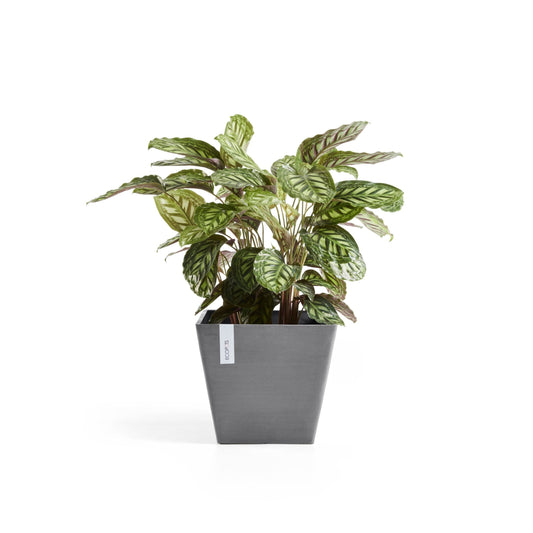 Kukkaruukku - Ecopots - Rotterdam 40cm harmaa - Ecopotskauppa - Uuden aikakauden kukkaruukku