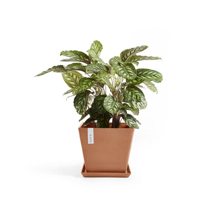 Kukkaruukku - Ecopots - Rotterdam 40cm terracotta - Ecopotskauppa - Uuden aikakauden kukkaruukku
