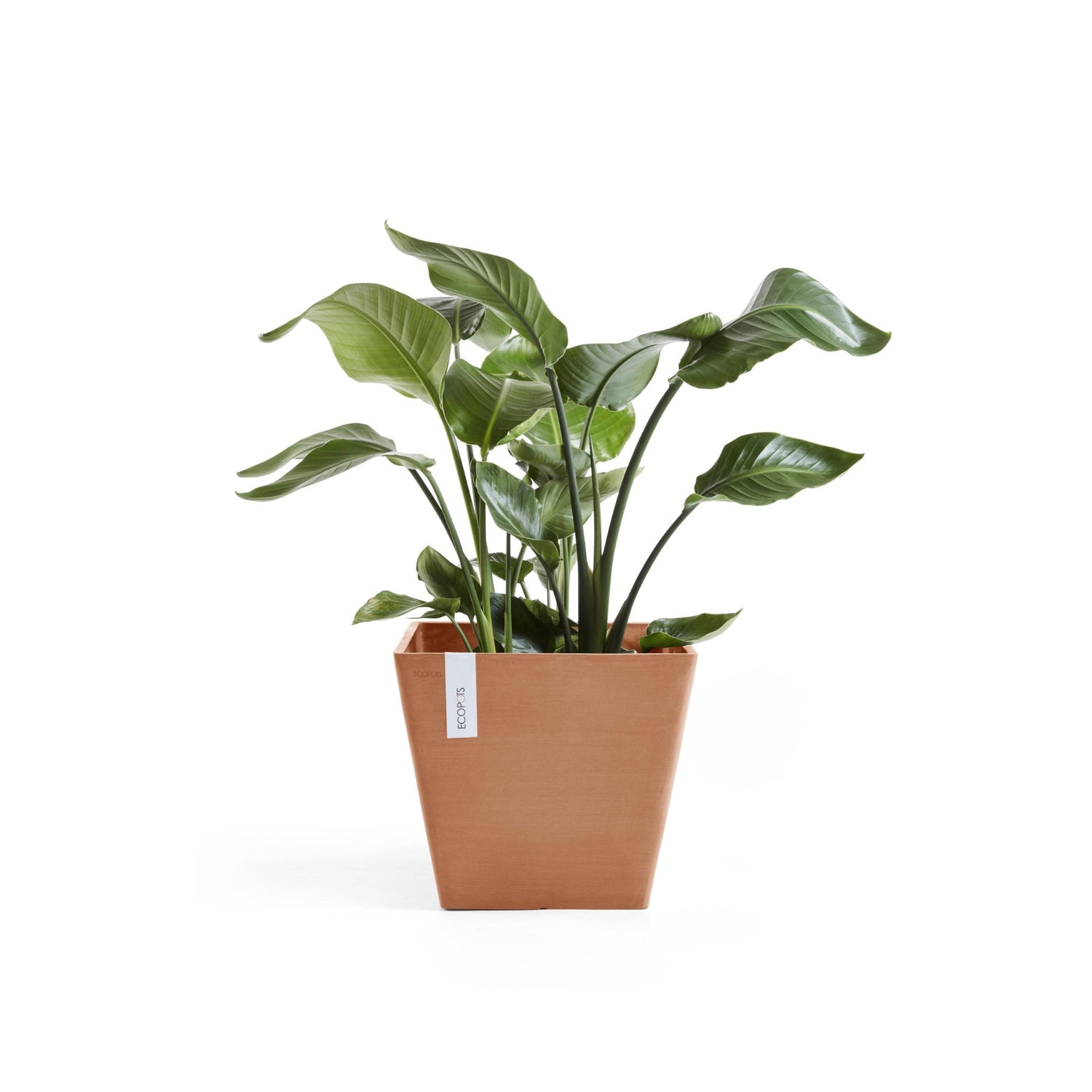 Kukkaruukku - Ecopots - Rotterdam 40cm terracotta - Ecopotskauppa - Uuden aikakauden kukkaruukku