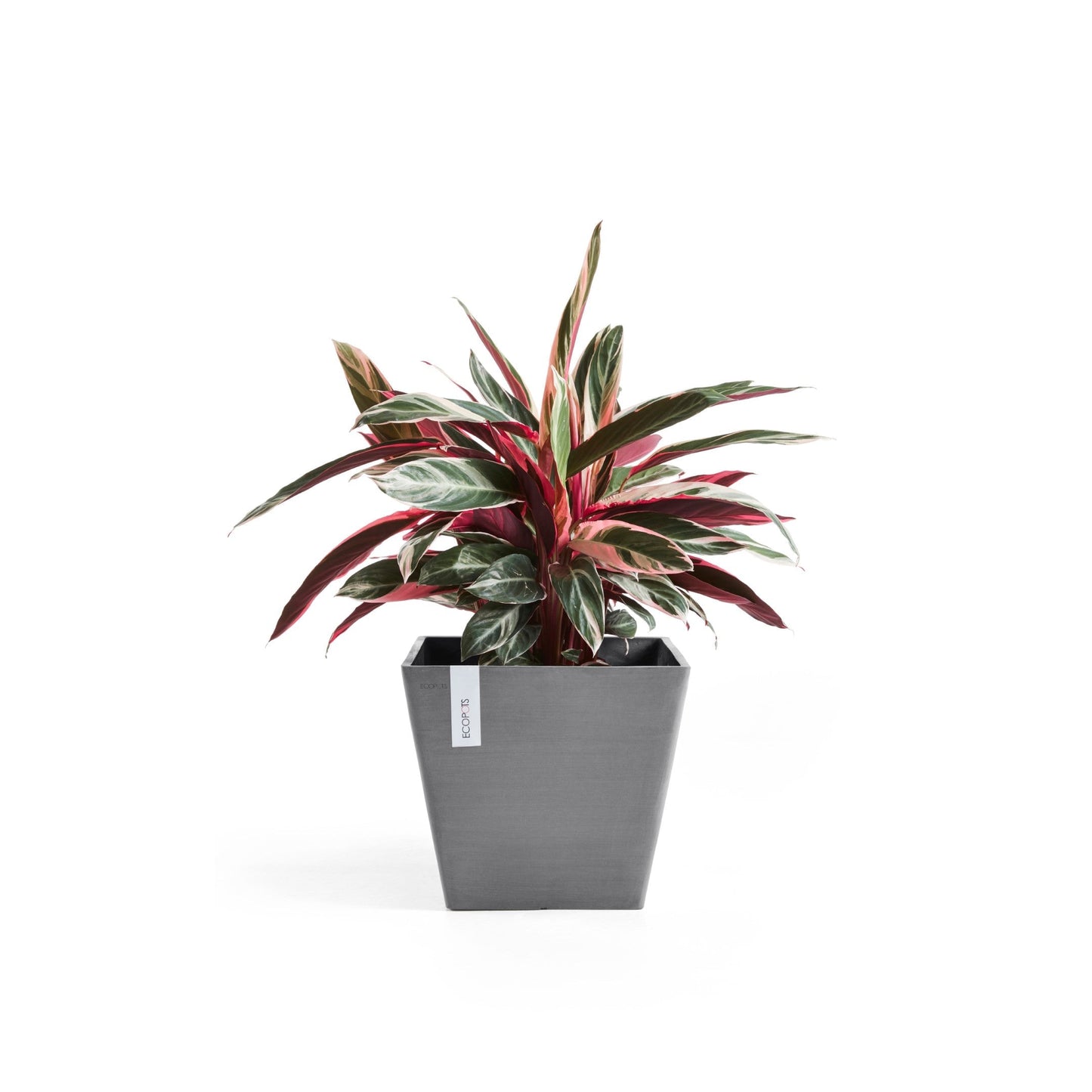 Kukkaruukku - Ecopots - Rotterdam 50cm harmaa - Ecopotskauppa - Uuden aikakauden kukkaruukku